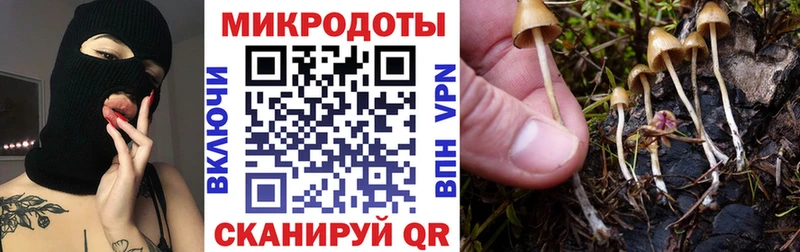 закладка  блэк спрут рабочий сайт  Псилоцибиновые грибы GOLDEN TEACHER  Куса 